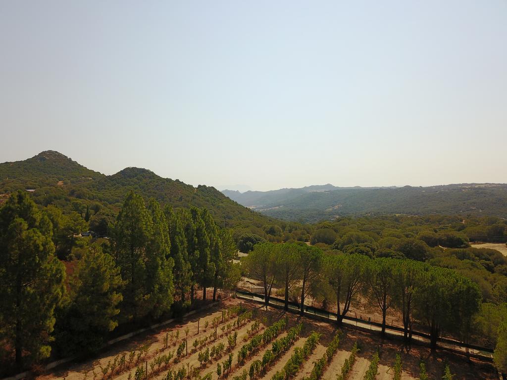 Résidence Villa Smeralda Telti Esterno foto