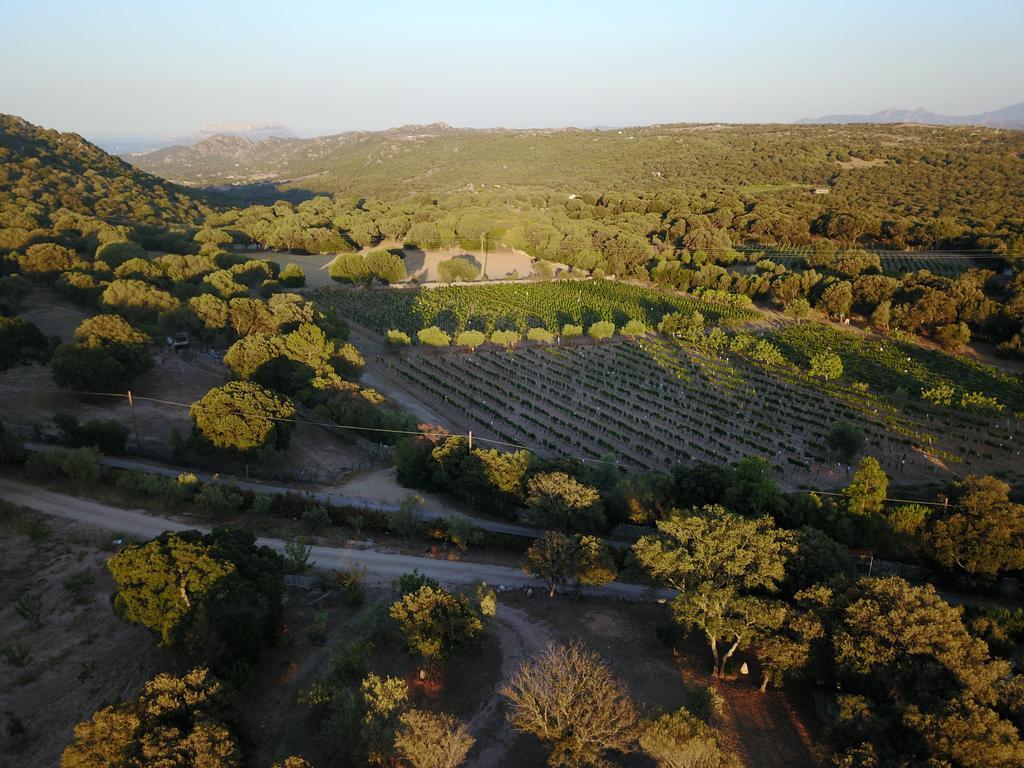 Résidence Villa Smeralda Telti Esterno foto